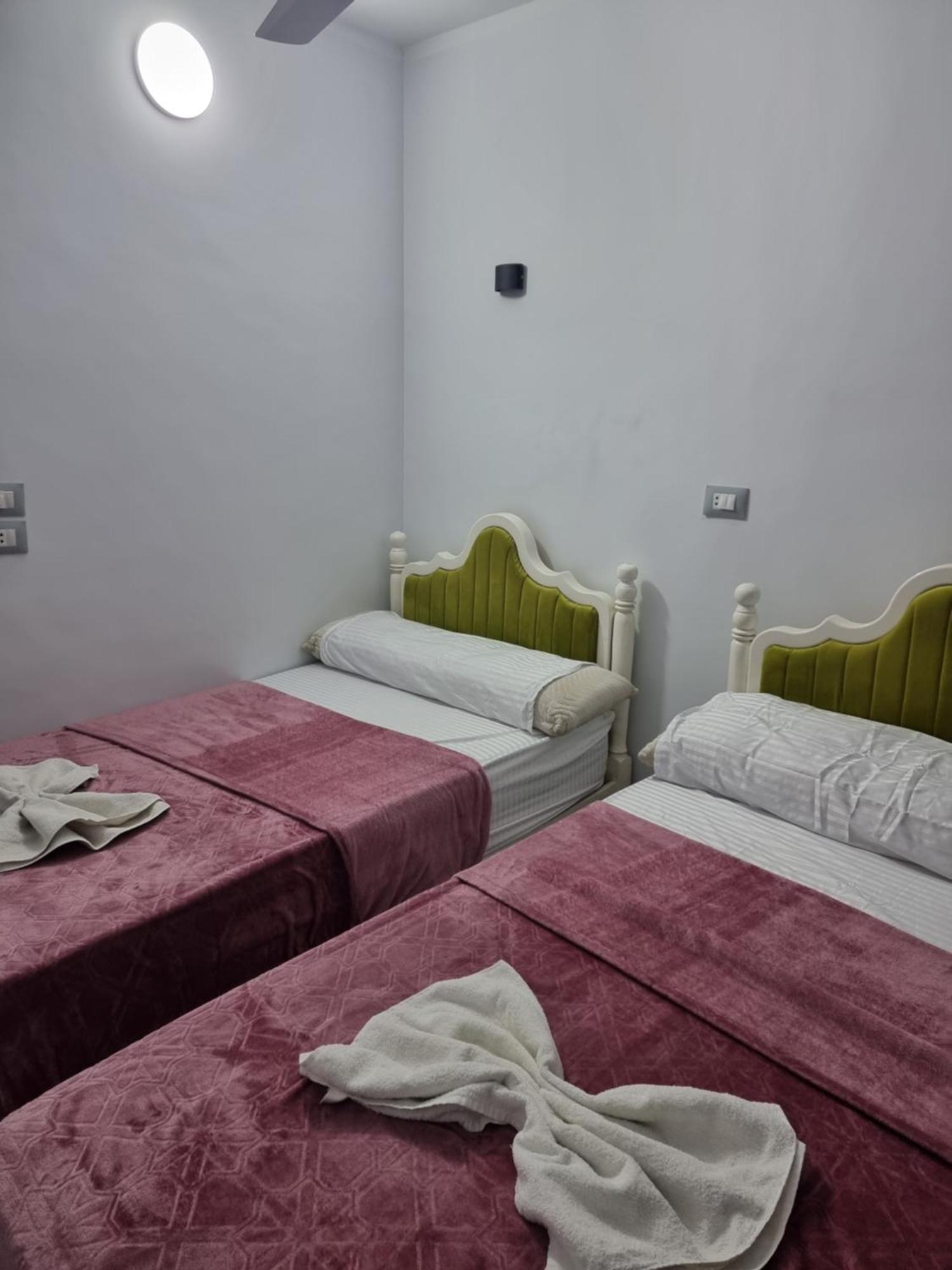 アスワン Baba Dool Bed & Breakfast エクステリア 写真